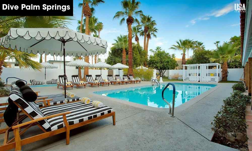 hotels-in-the-usa-Dive-Palm-Springs