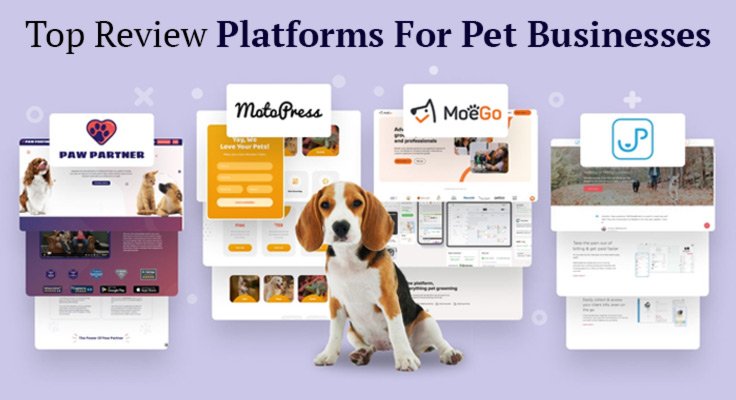 Pet Businesses