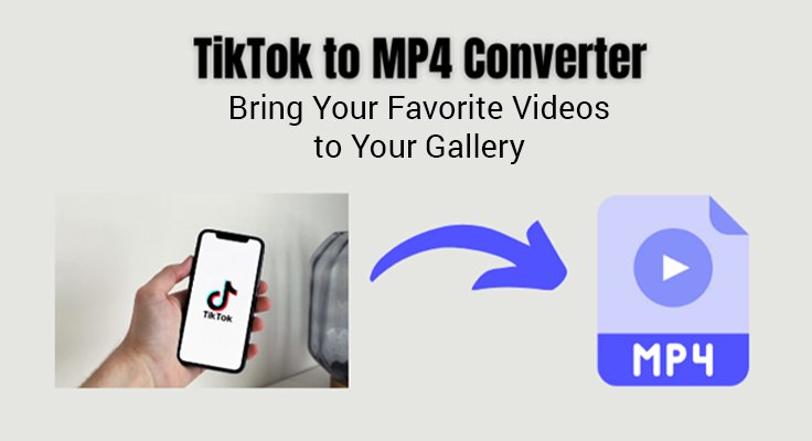 TikTok to MP4 Converter