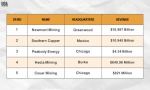 Top 5 Mining Companies in the USA to Watch in 2025