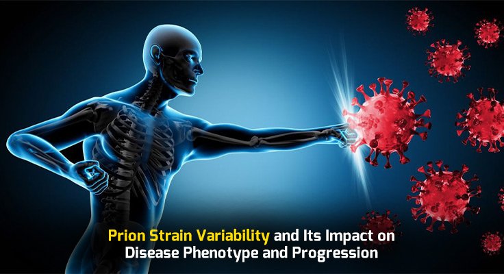 Prion Strain Variability