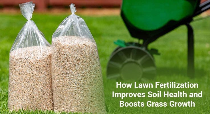 Lawn Fertilization