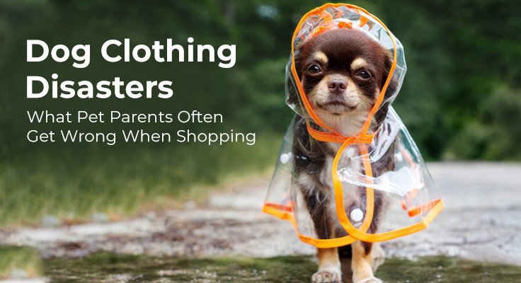 Dog Clothing Disasters