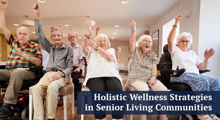 Holistic Wellness Strategies