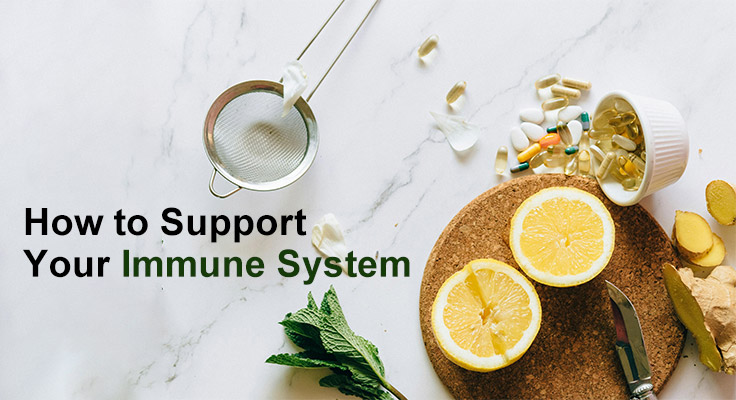 Immune System