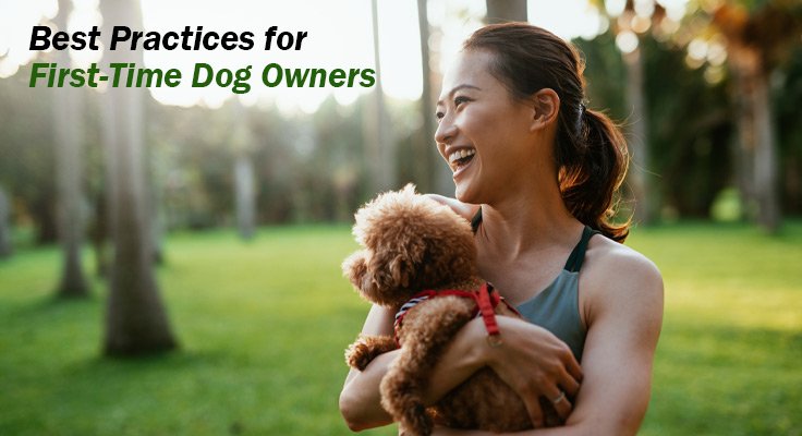 First-Time Dog Owners