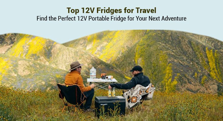 Top 12V Fridges for Travel