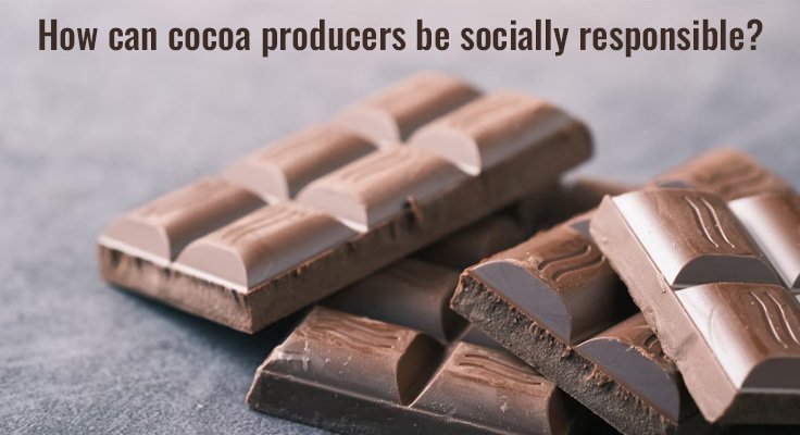 cocoa producers