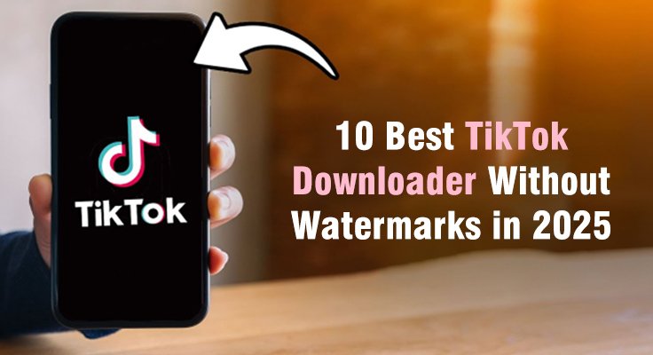 Best TikTok Downloader