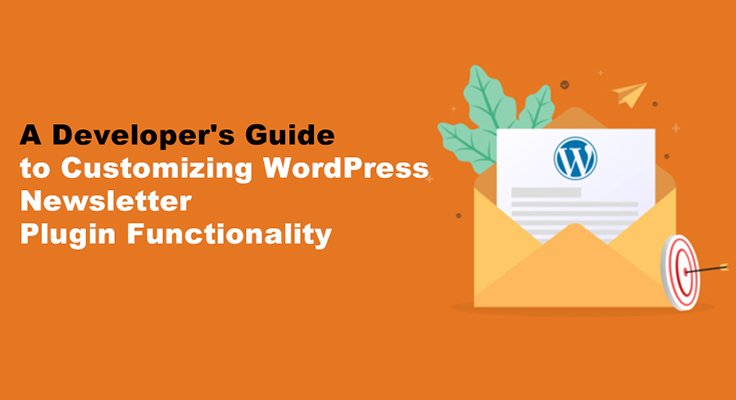 WordPress Newsletter Plugin