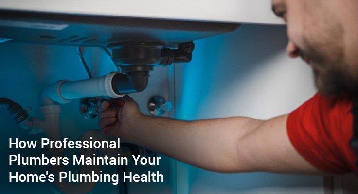 Homes Plumbing Health