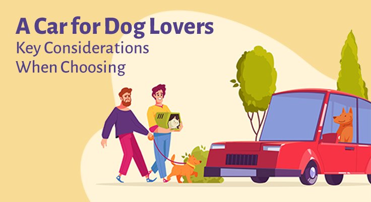 Car for Dog Lovers