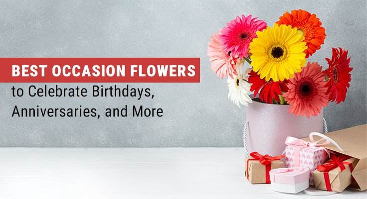 Occasion Flowers