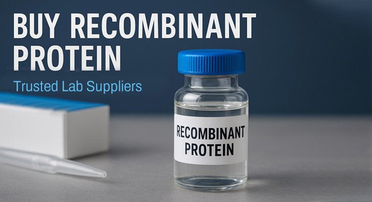 Recombinant Protein
