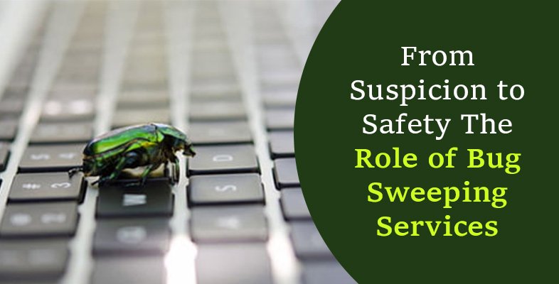 Bug Sweeping Services