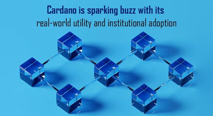 utility and institutional adoption