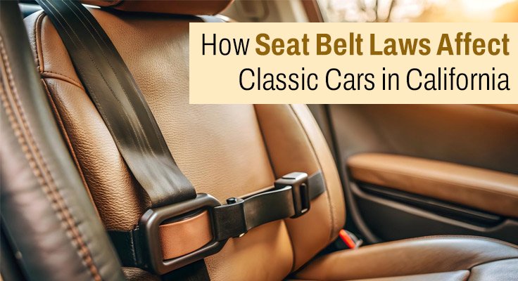 Seat Belt Laws