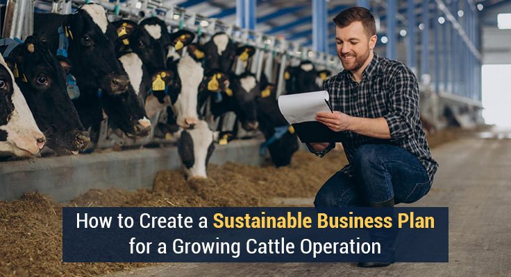 Growing Cattle Operation