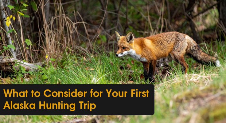 First Alaska Hunting Trip