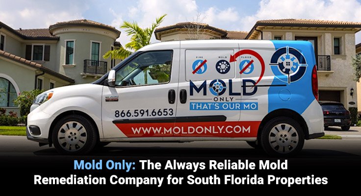 Mold Remediation Company