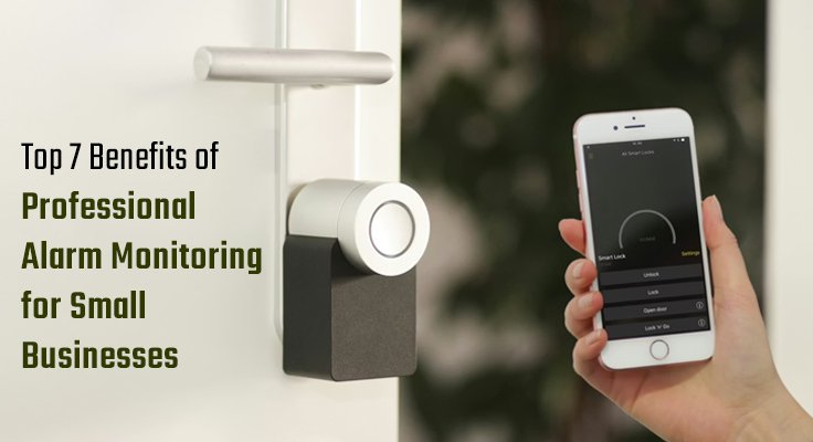 Benefits of Professional Alarm