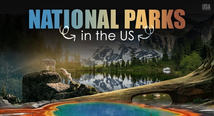 Top national parks in the US protecting biodiversity and wildlife ecosystems