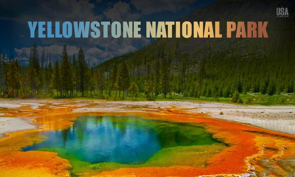 Yellowstone National Park wildlife and ecosystem biodiversity conservation