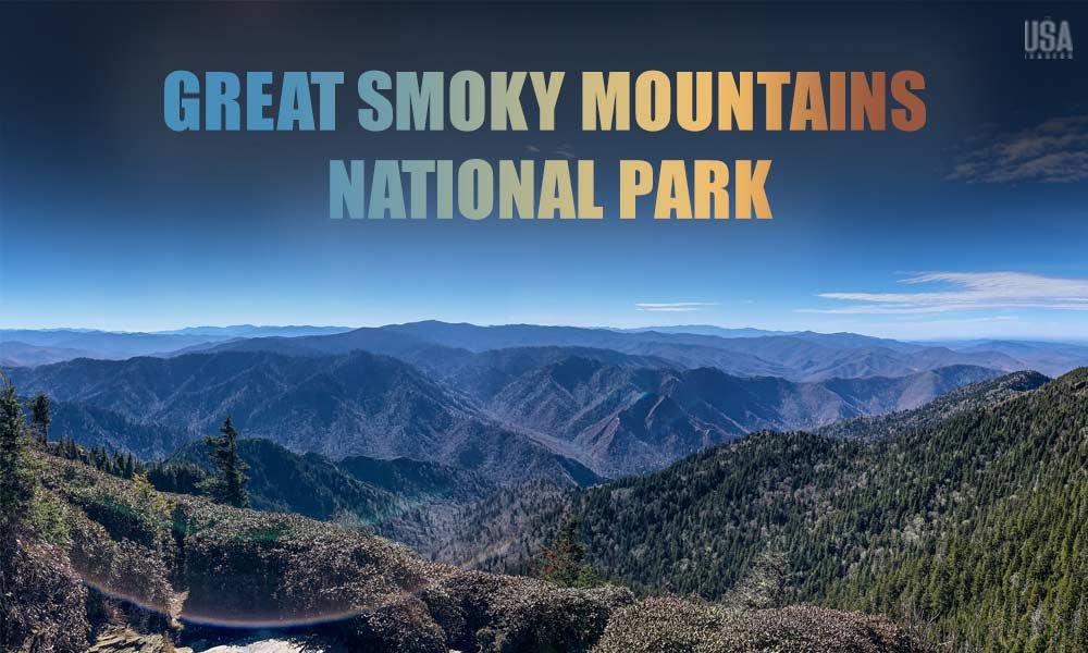 Great Smoky Mountains biodiversity forest ecosystem species diversity