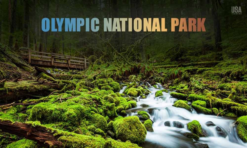 Olympic National Park rainforest alpine coastline ecosystem biodiversity
