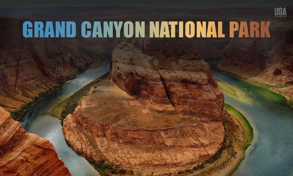 Grand Canyon ecosystem biodiversity Colorado River wildlife habitat