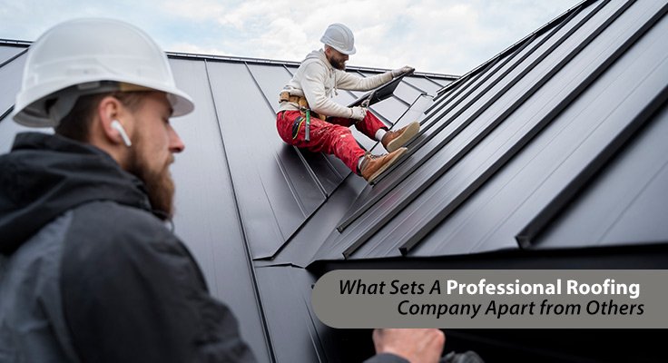 Professional Roofing Company