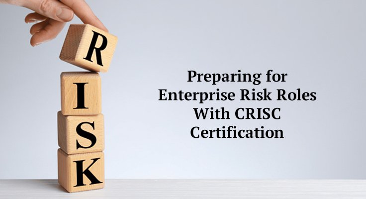 Enterprise Risk Roles With CRISC
