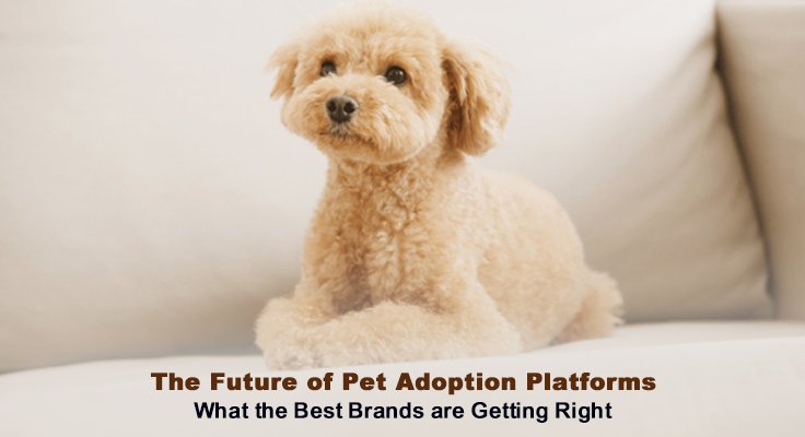 Future of Pet Adoption Platforms