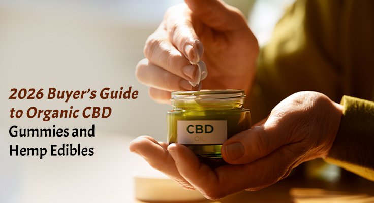 Guide to Organic CBD Gummies