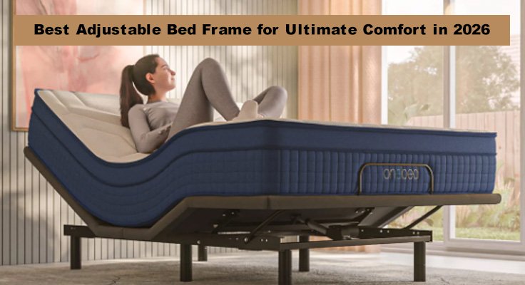 Best Adjustable Bed Frame