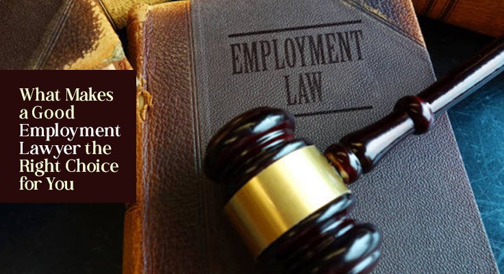Good Employment Lawyer
