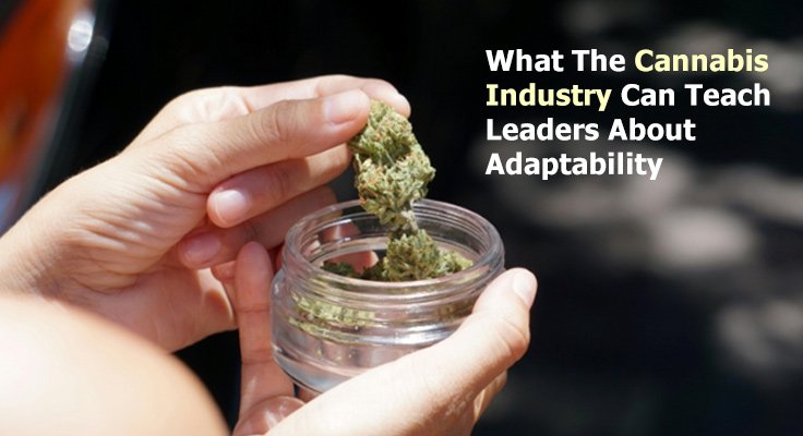 Cannabis Industry