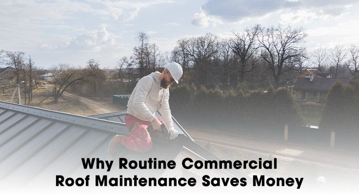 Roof Maintenance