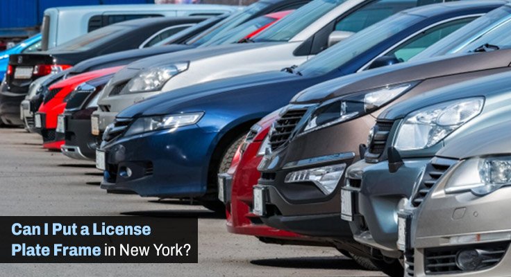 License Plate Frame in New York