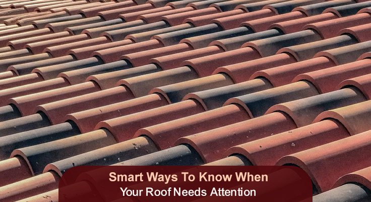 Roof Needs Attention