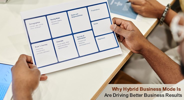 Hybrid Business Models