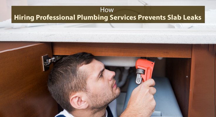 Professional Plumbing Services